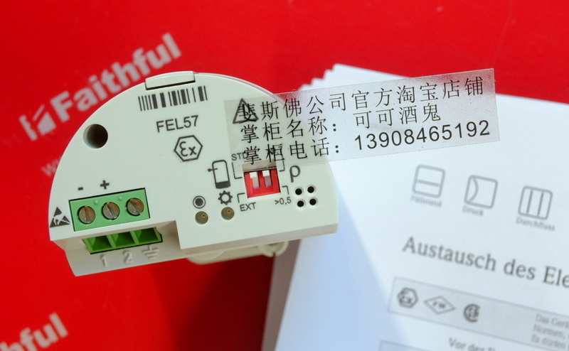 E+H FEL57 恩德斯豪斯电子插件 52002309 Endress+Hauser