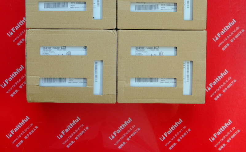 E+H FTL325P-T3E3 恩德斯豪斯音叉信号转换器 Endress+Hauser