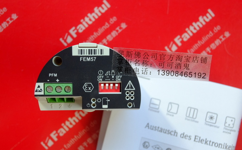 E+H FEM57 恩德斯豪斯电子插件 52026501 Endress+Hauser